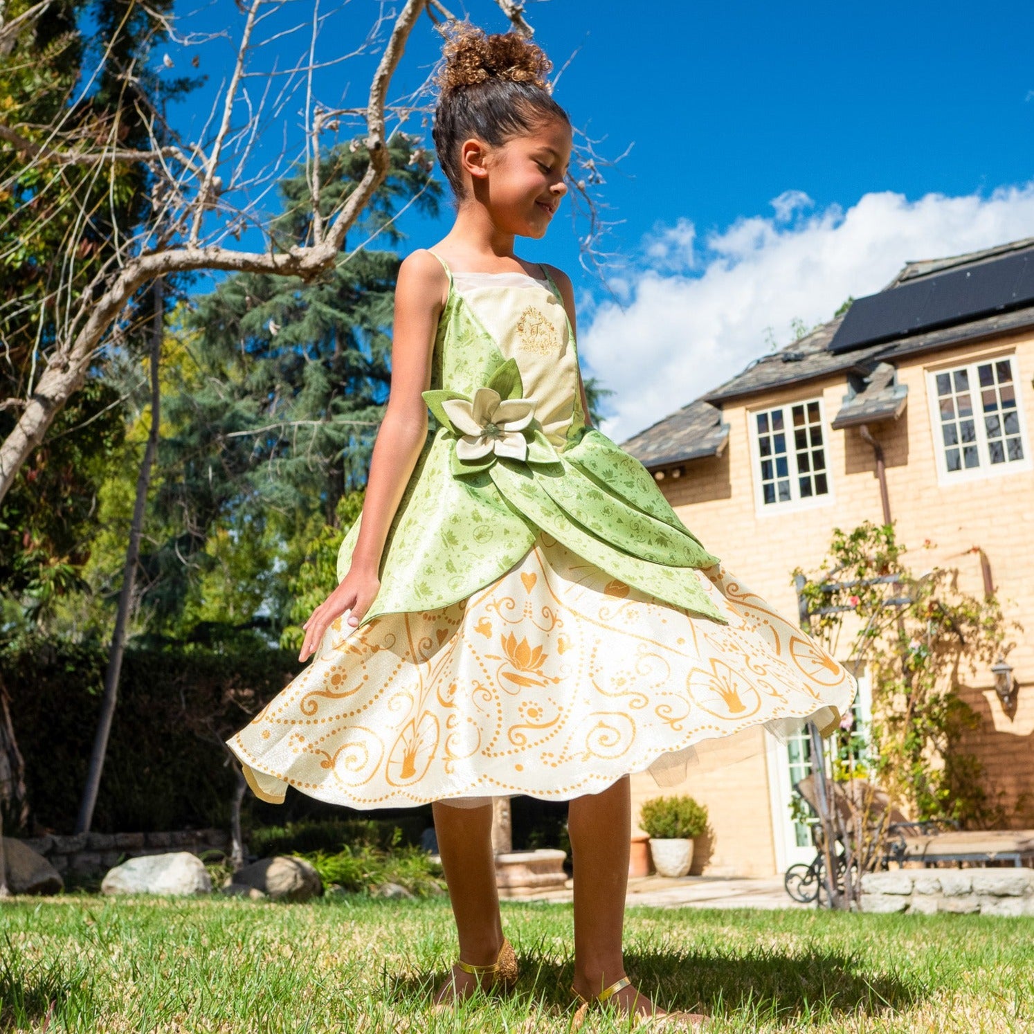 A Leading Role x Disney Princess Tiana Premium Washable Dress Up A Leading Role x Disney Princess Tiana Premium Washable Dress Up
