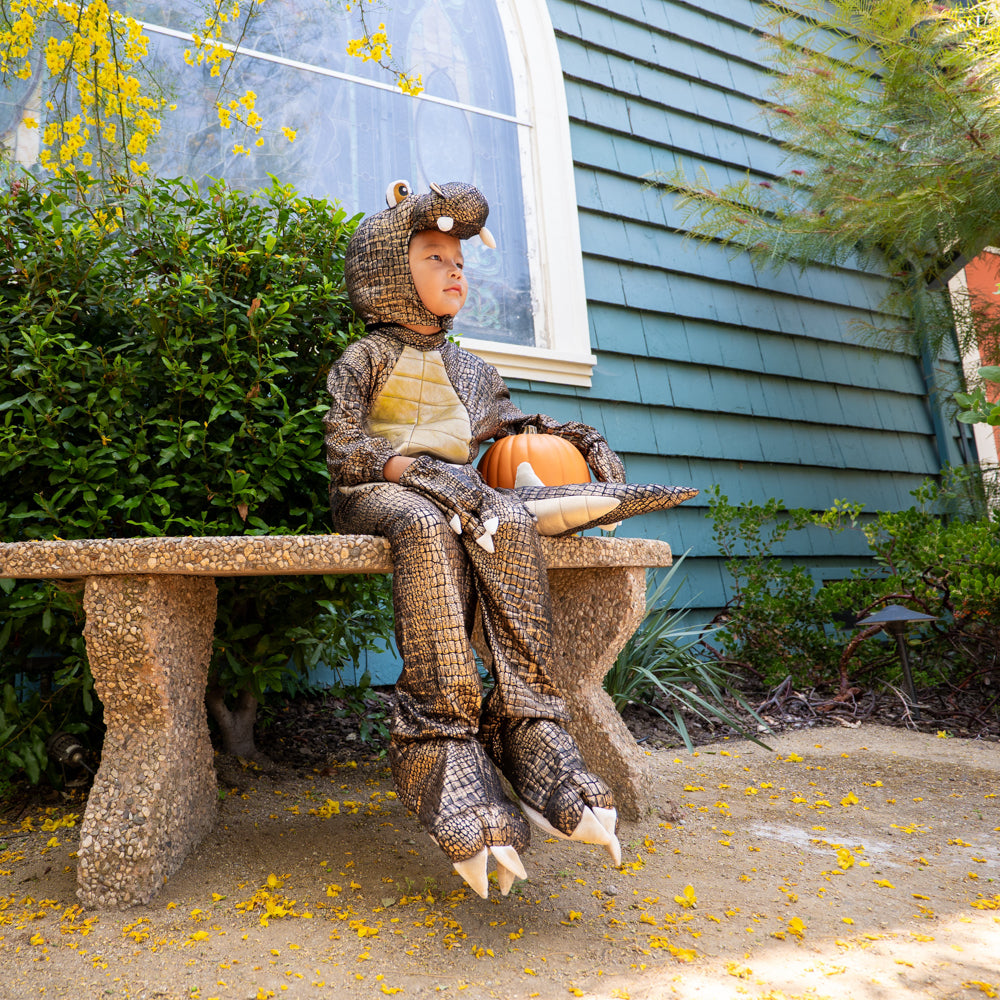 A Leading Role Premium Child T-Rex Dinosaur Dress Up