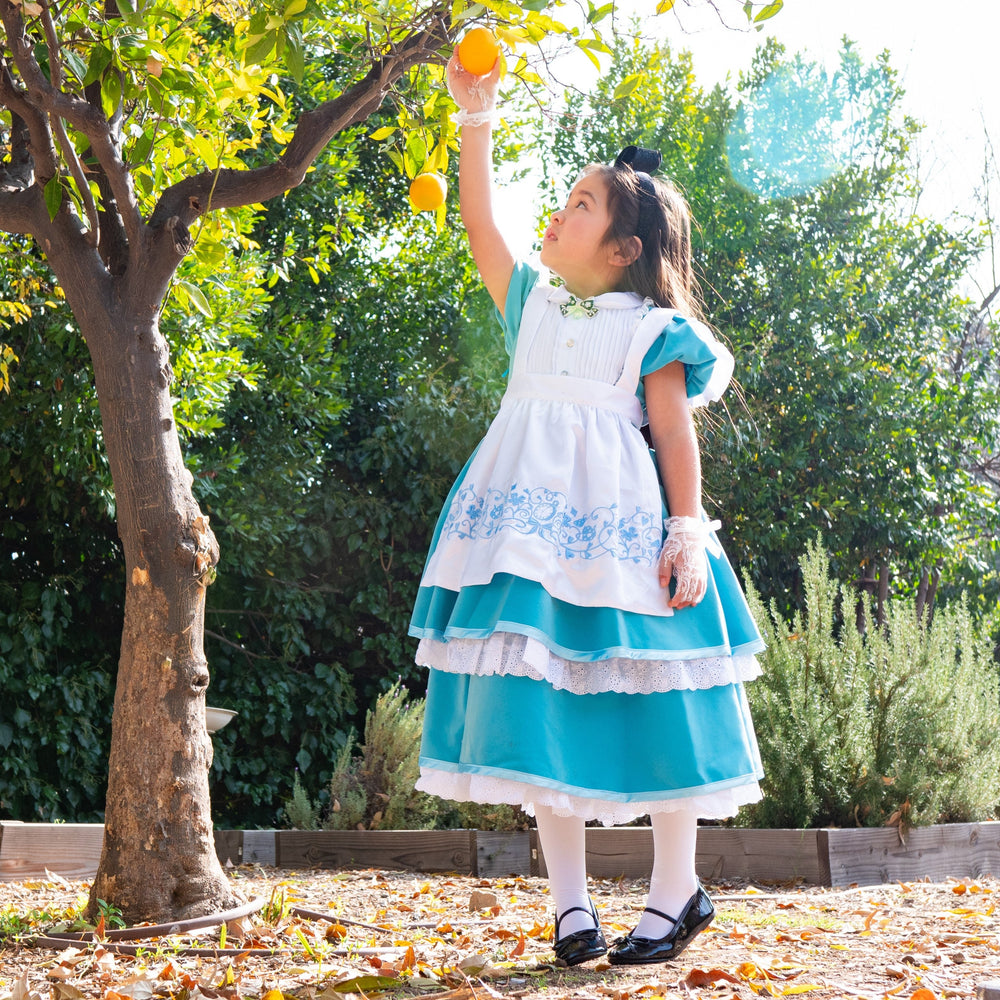 A Leading Role Signature Alice Child Dress Up
