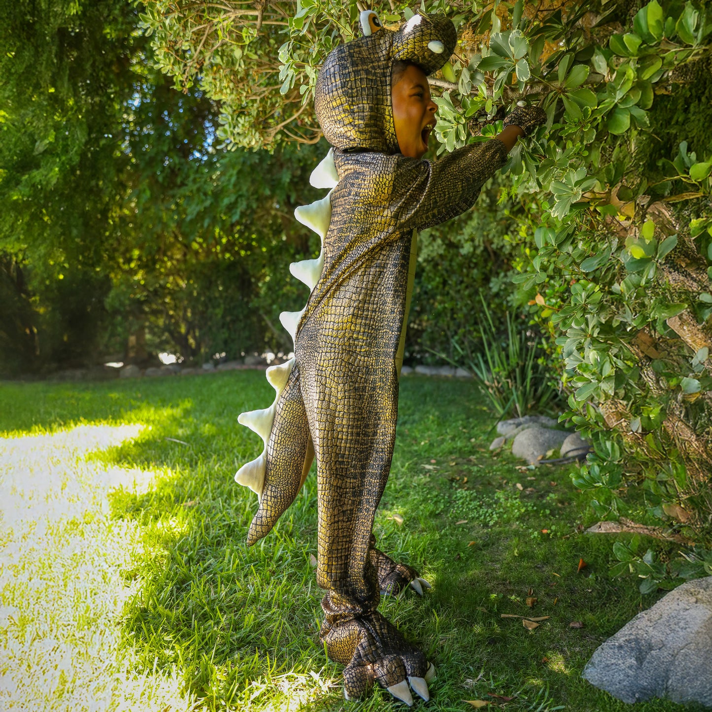 A Leading Role Premium Child T-Rex Dinosaur Dress Up