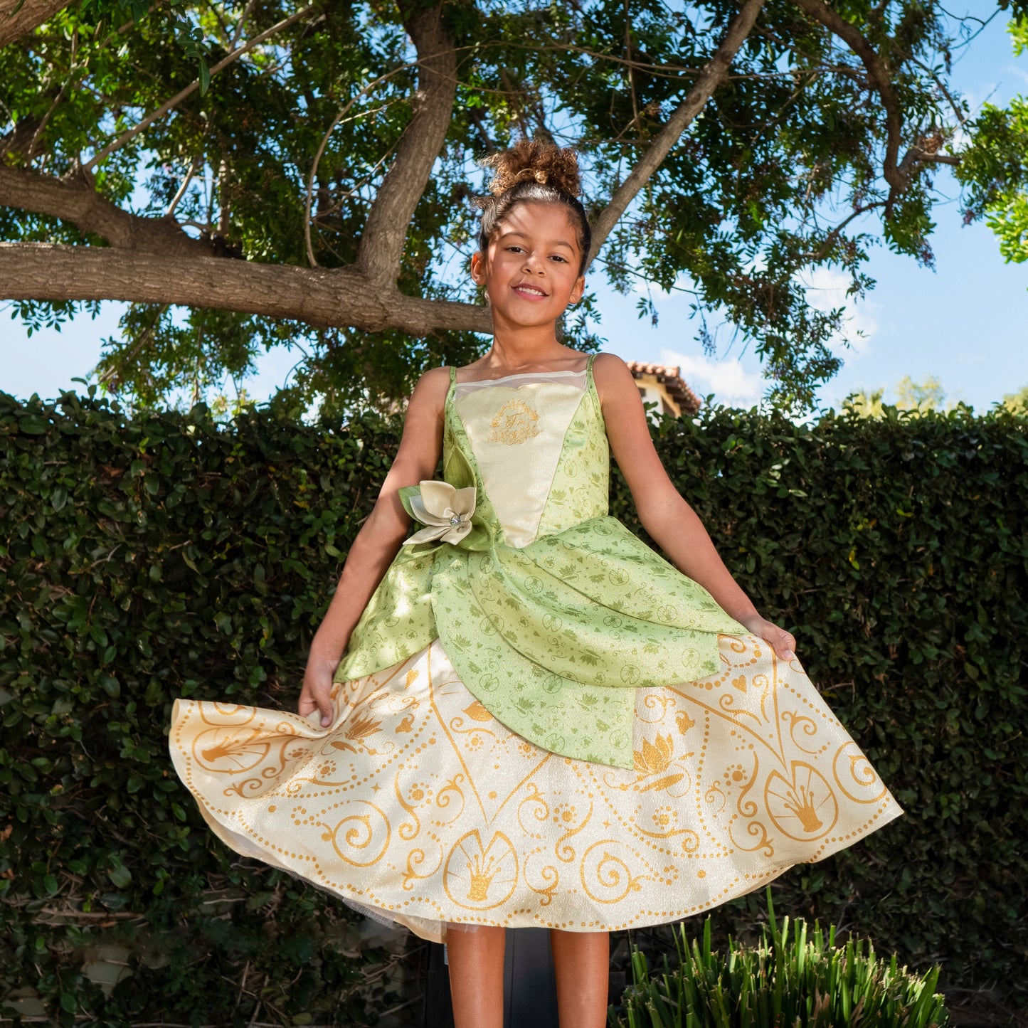 Disney Princess Tiana Premium Washable Dress Up