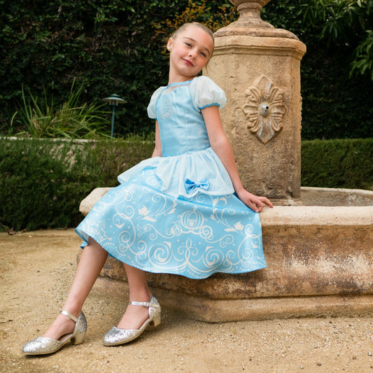 Disney Princess Cinderella Premium Washable Dress Up