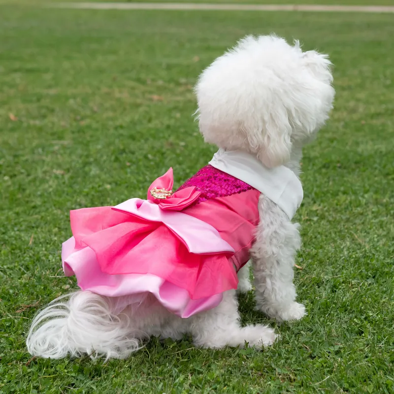 A Leading Role x Disney Aurora Premium Pet Costume