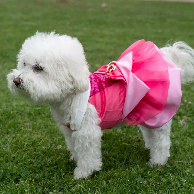 A Leading Role x Disney Aurora Premium Pet Costume