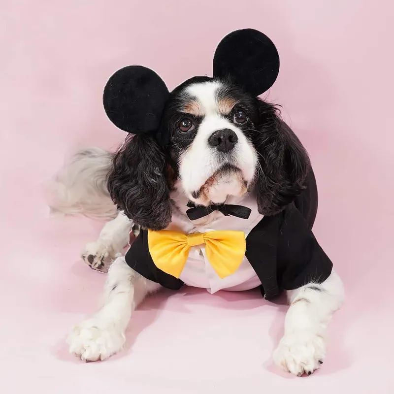 A Leading Role x Disney Mickey Mouse Premium Pet Costume