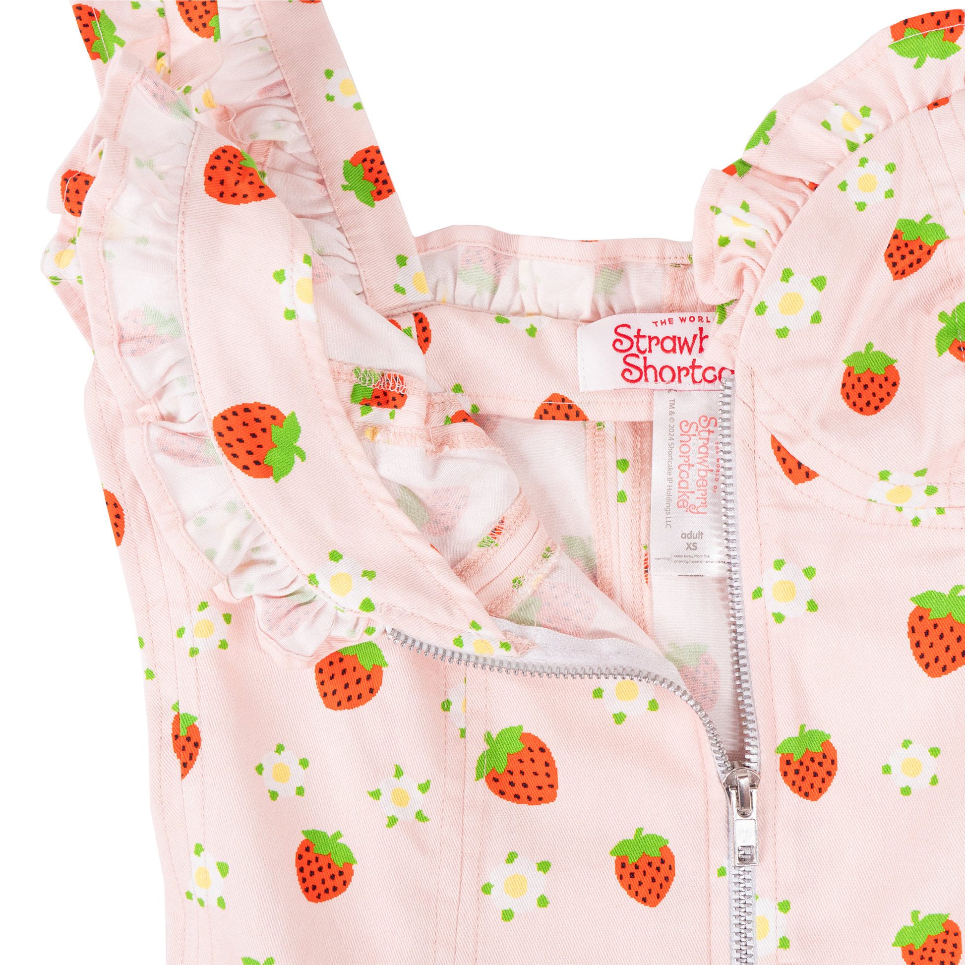 A Leading Role x Strawberry Shortcake Premium Adult Berry Ruffle Zip-Up Dress