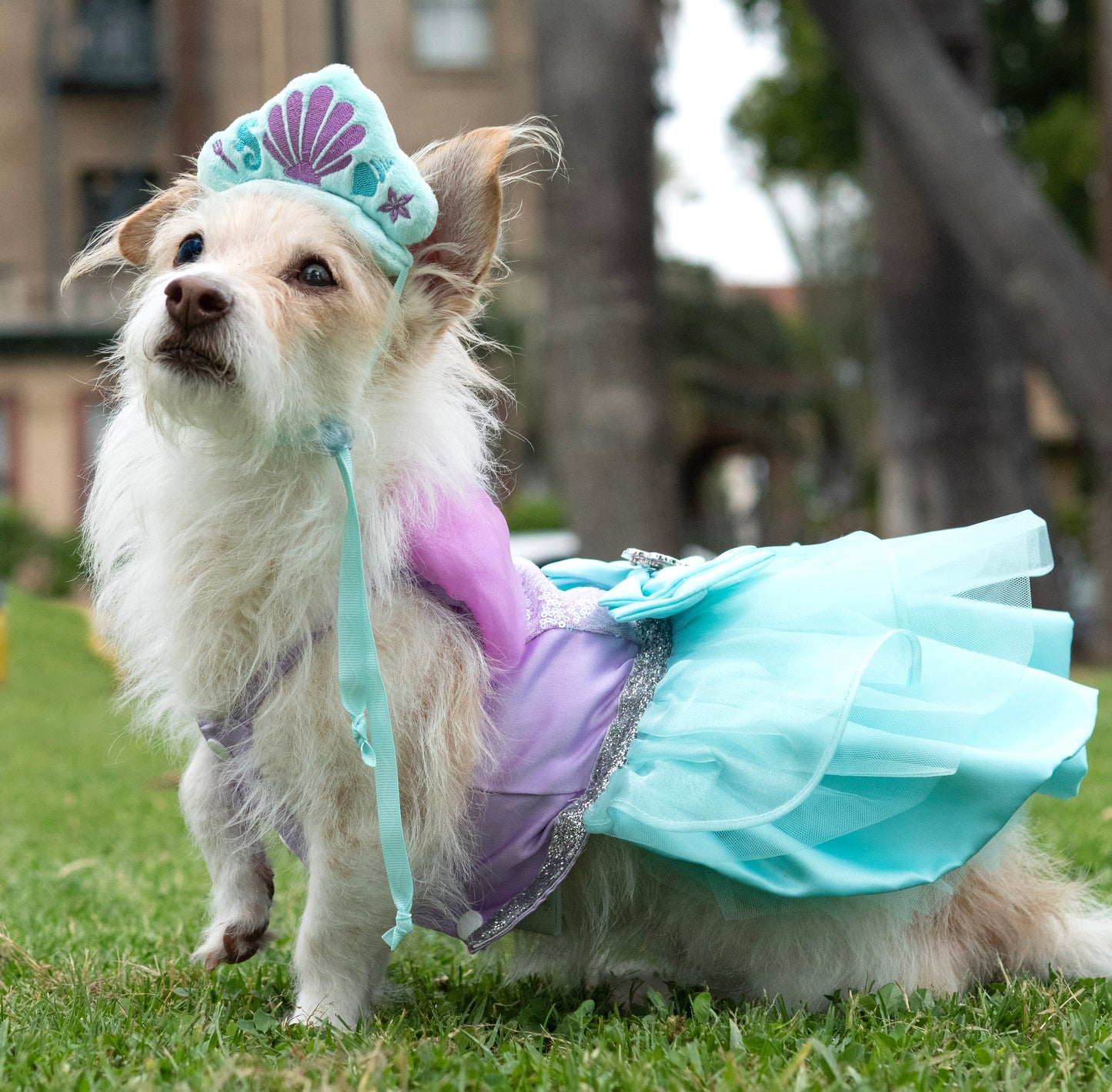 A Leading Role x Disney Ariel Premium Pet Costume