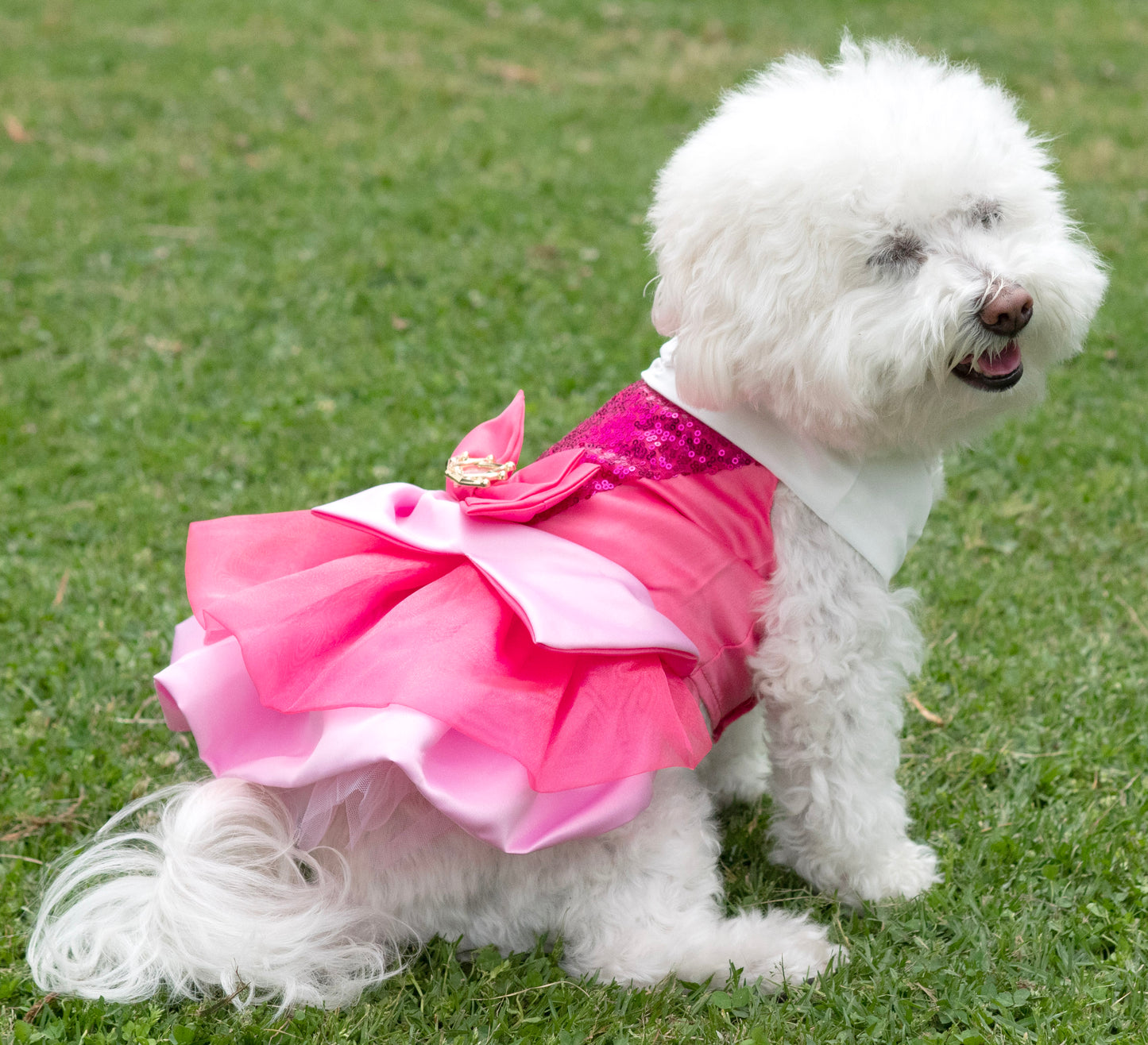 A Leading Role x Disney Aurora Premium Pet Costume