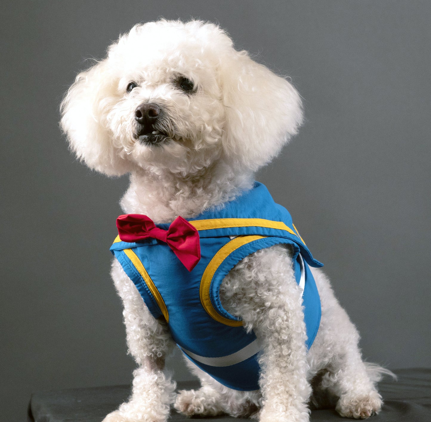 A Leading Role x Disney Donald Duck Premium Pet Harness