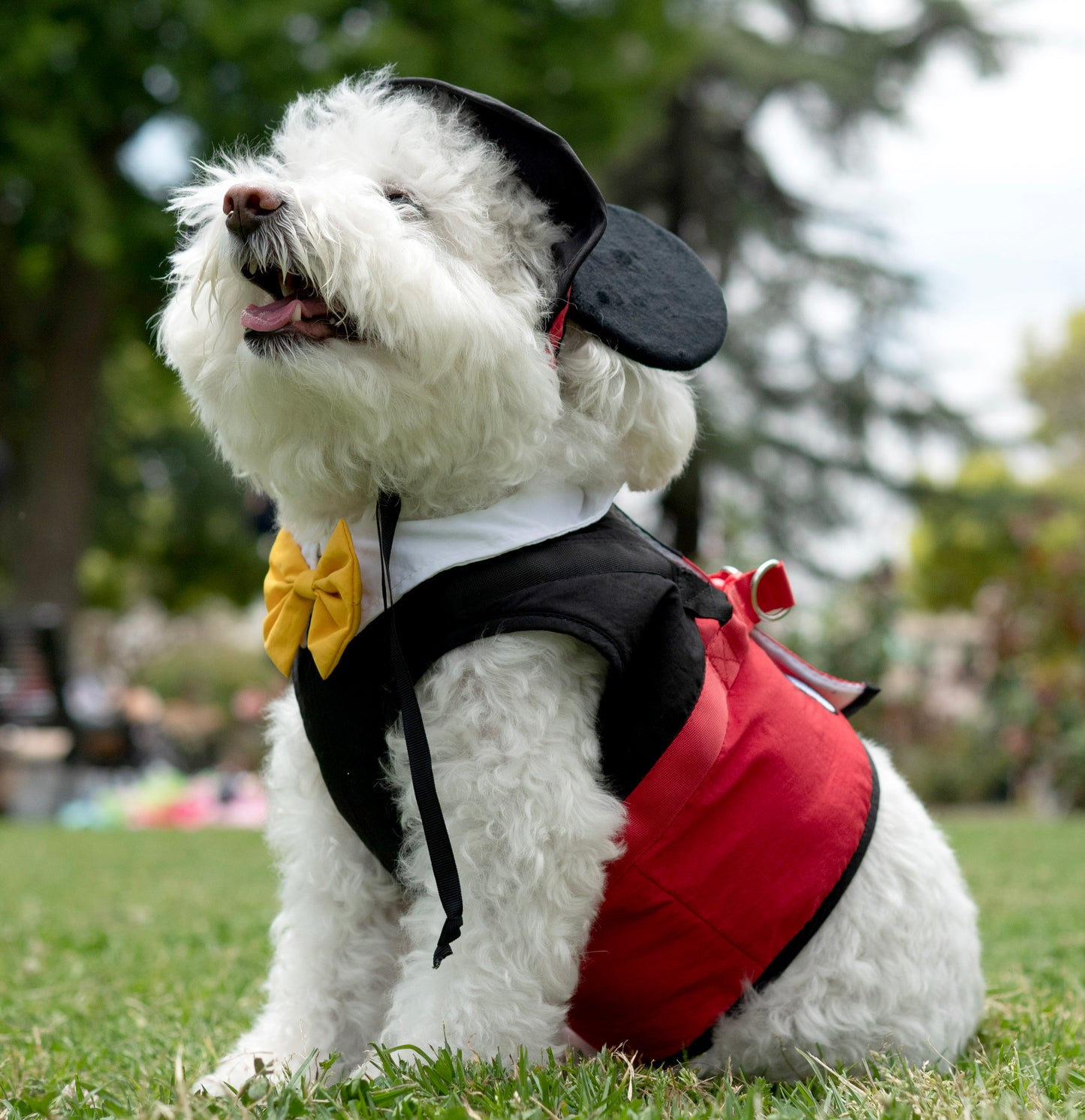 A Leading Role x Disney Mickey Mouse Premium Pet Harness