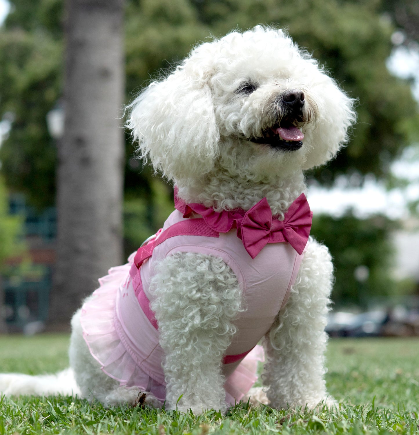 A Leading Role x Disney Multi-Princess Premium Pet Harness