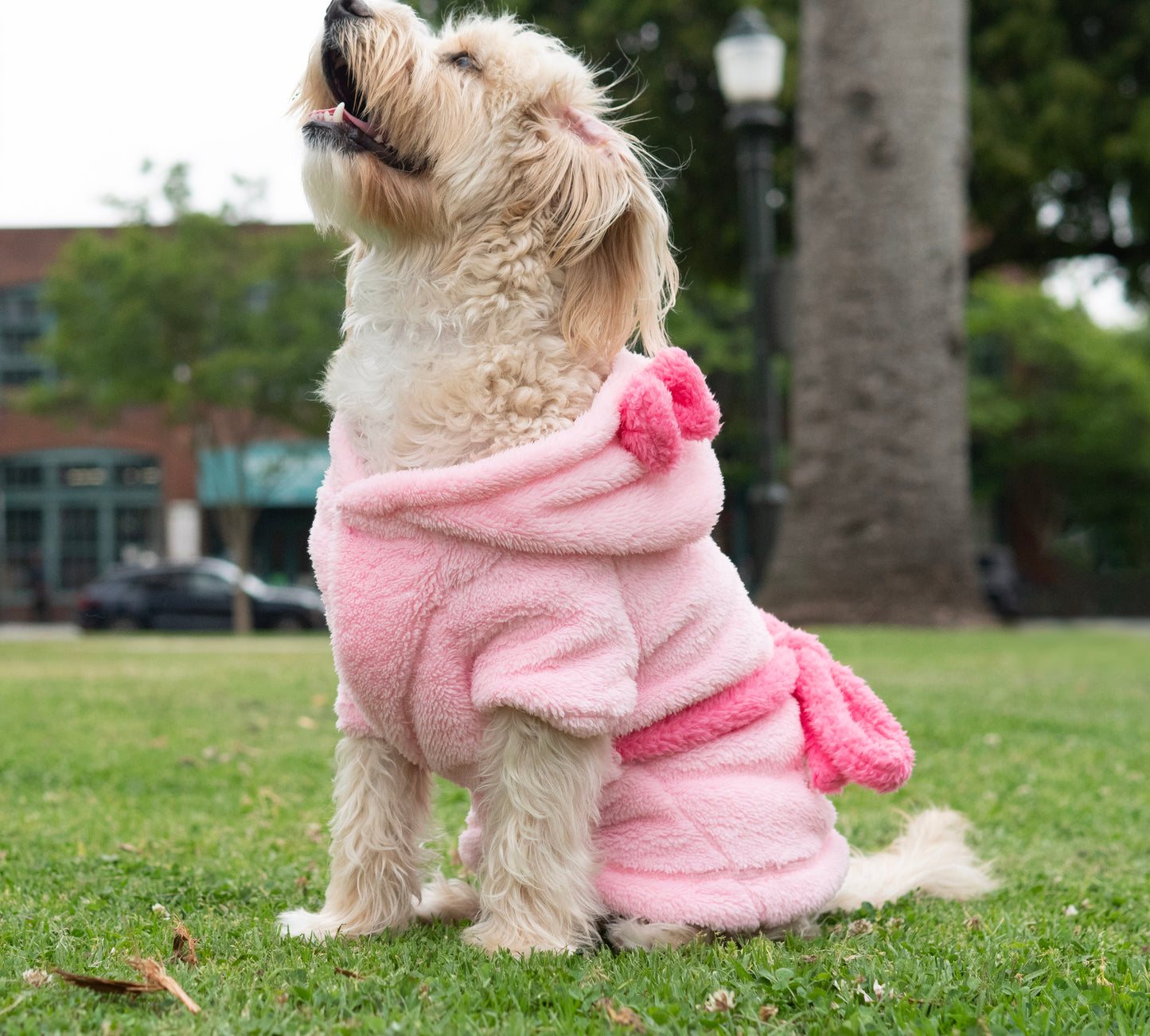 A Leading Role x Disney Multi-Princess Premium Pet Spa Robe