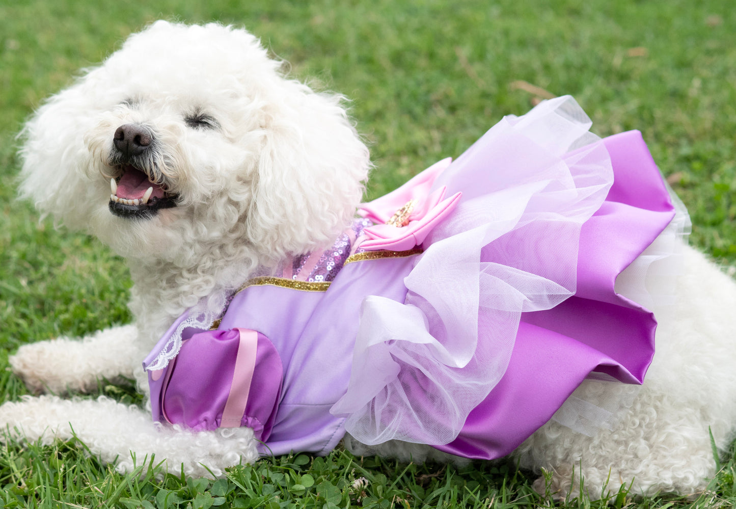 A Leading Role x Disney Rapunzel Premium Pet Costume