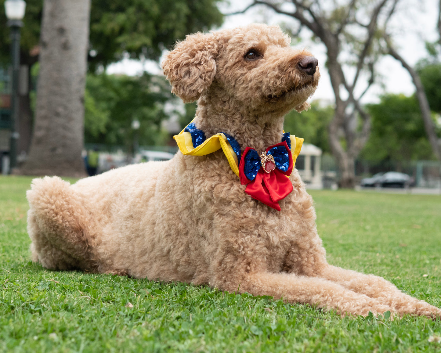 A Leading Role x Disney Snow White Premium Pet Collar