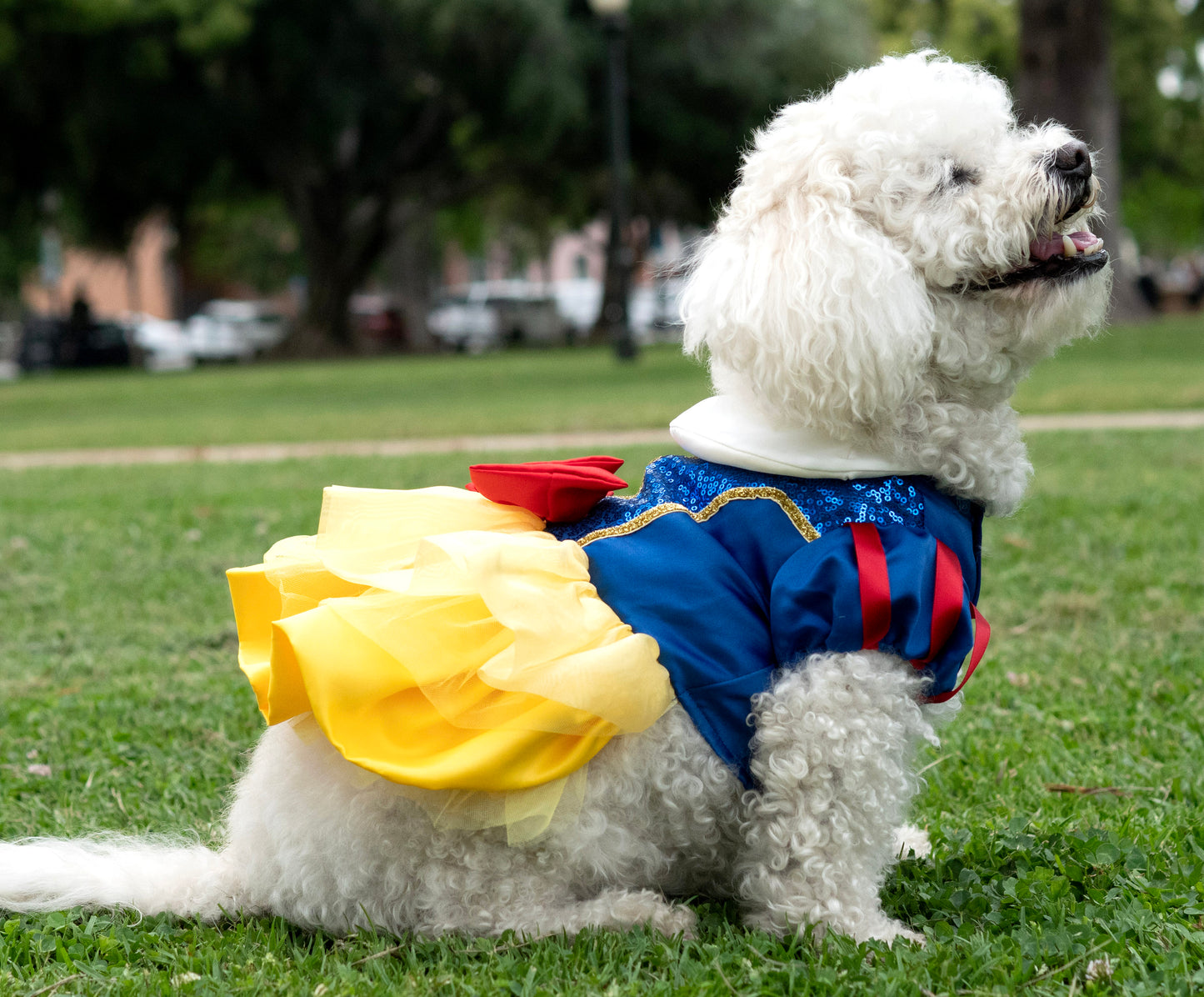 A Leading Role x Disney Snow White Premium Pet Costume