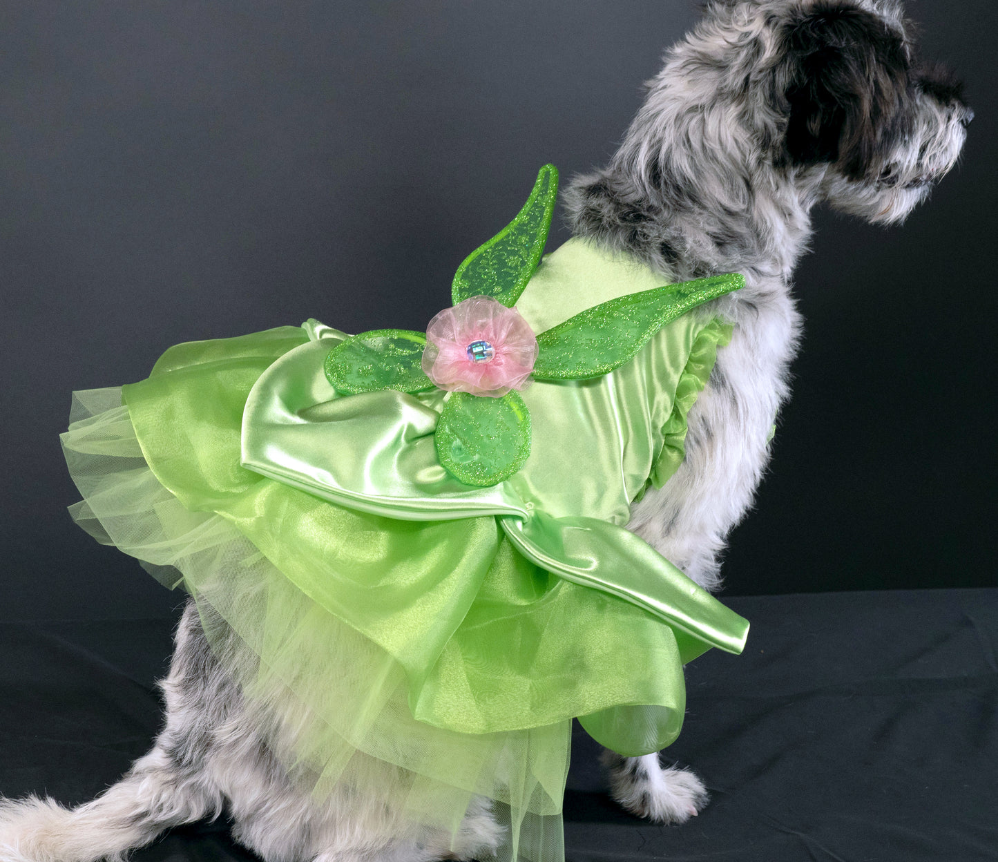 A Leading Role x Disney Tinker Bell Premium Pet Costume