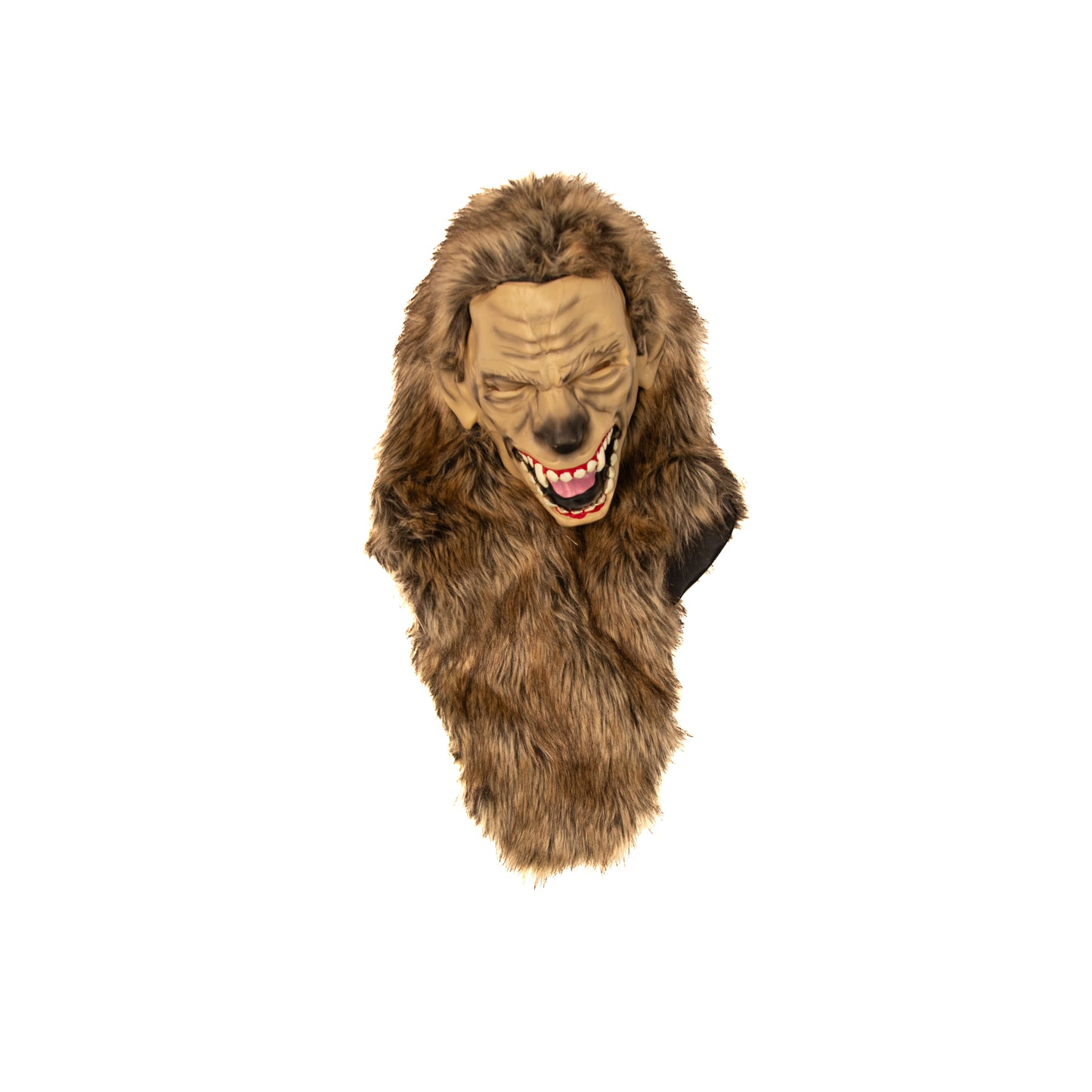 A Leading Role Signature Werewolf Child Dress Up