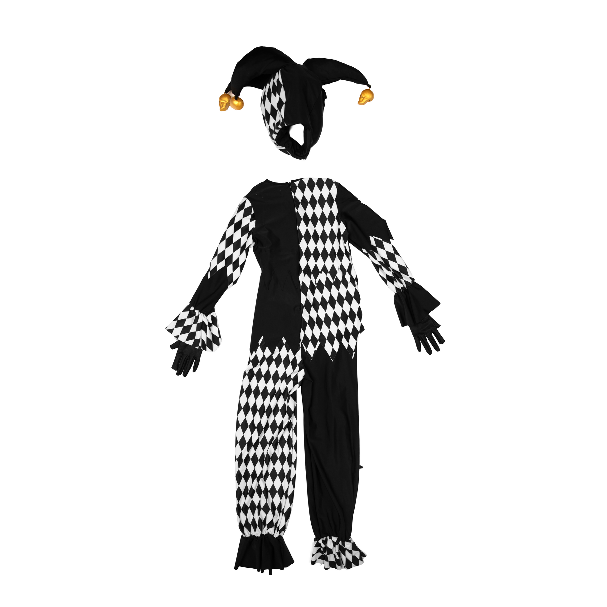 Jester Child Dress Up - A Leading Role