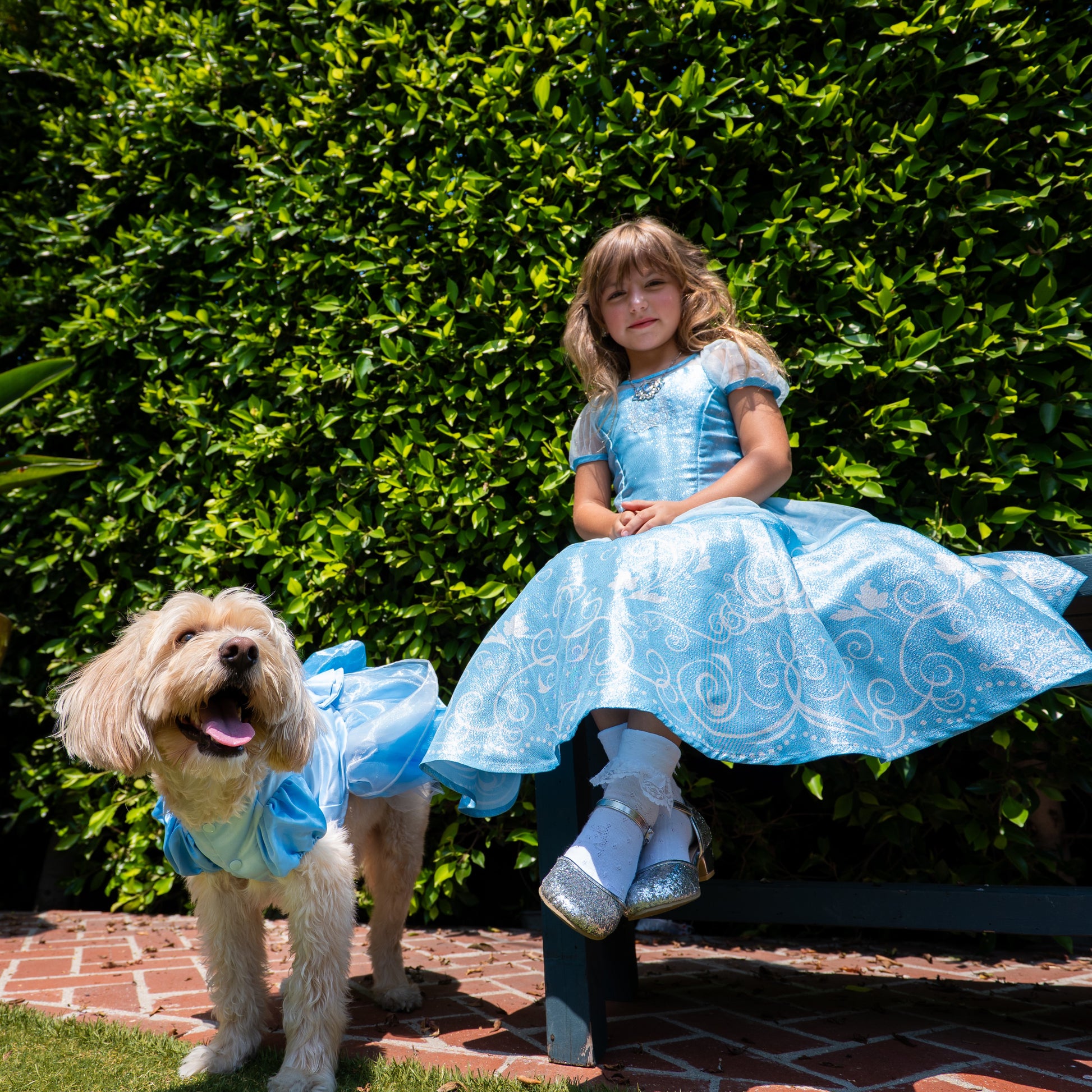 A Leading Role x Disney Princess Cinderella Premium Washable Dress Up A Leading Role x Disney Princess Cinderella Premium Washable Dress Up