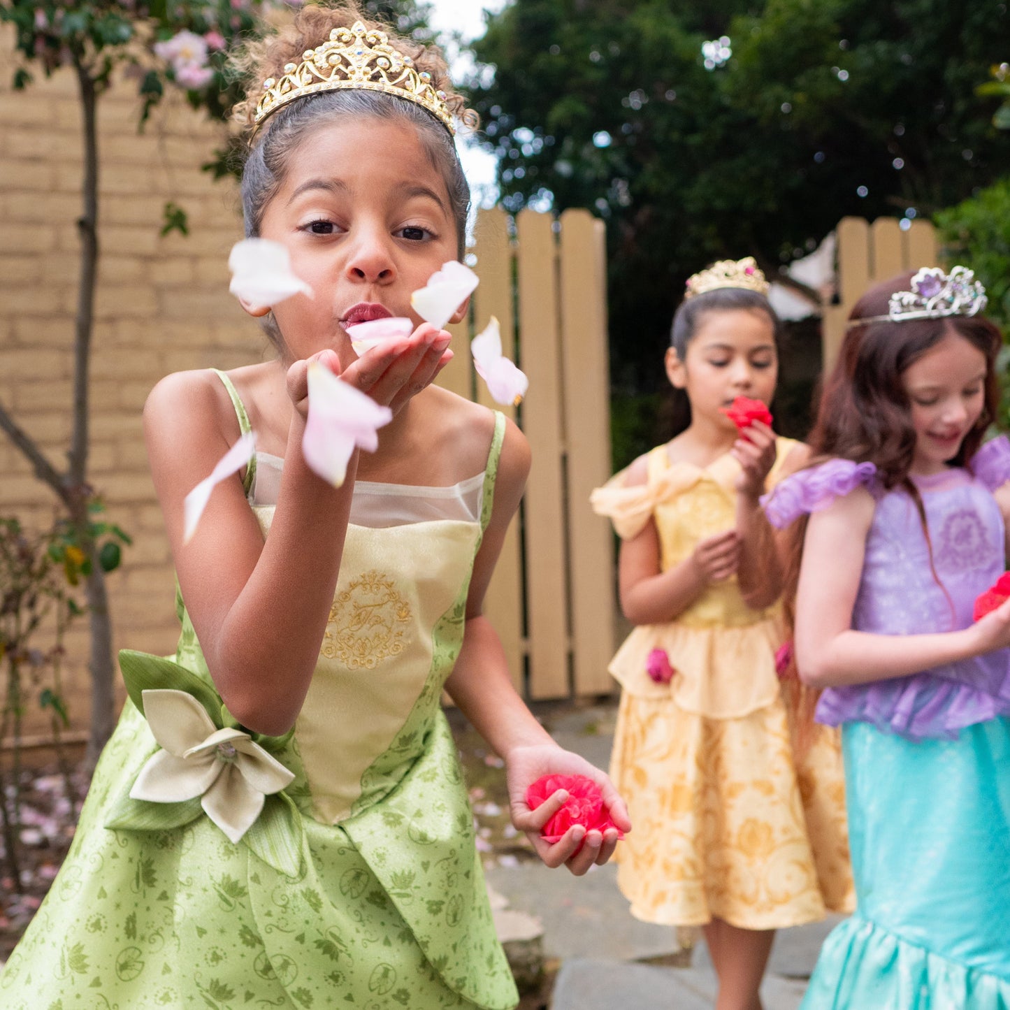 Disney Princess Tiana Premium Washable Dress Up