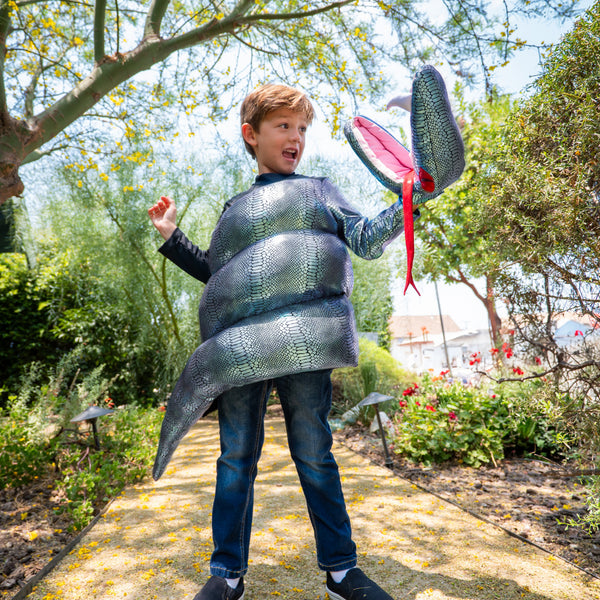 A Leading Role Signature Snake Child Dress Up